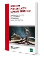 Derecho procesal civil general práctico